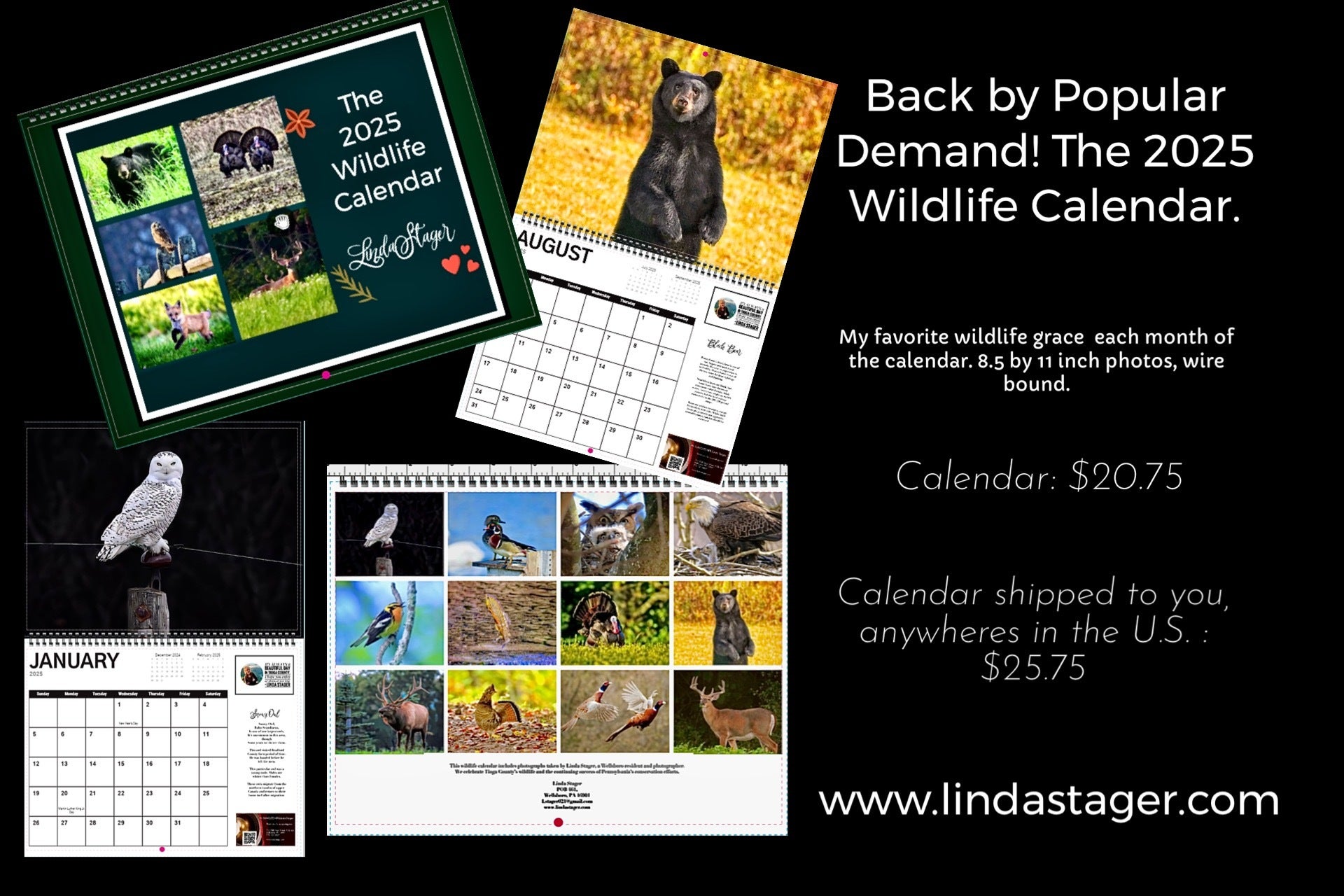 2025 wildlife calendar | PA SUNCATCHER-- Linda Stager 266 Old Tioga ...